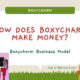 How Does Boxycharm Make Money