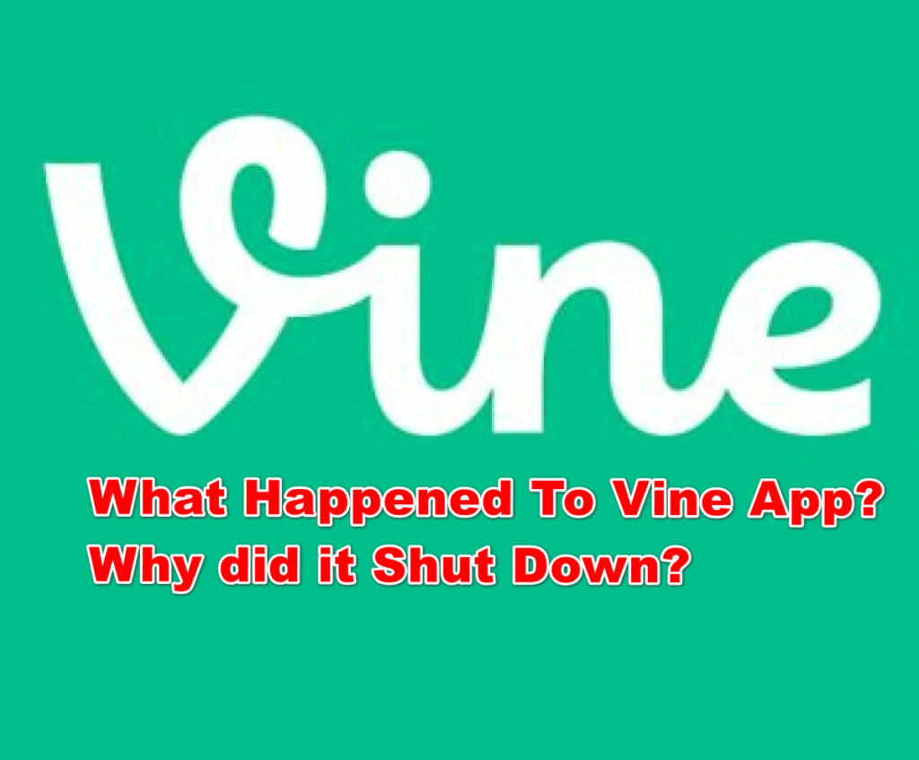What Happened To Vine