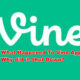 What Happened To Vine