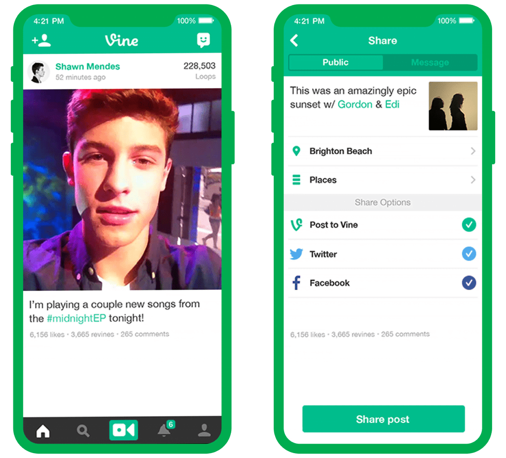 Vine Social Media platform