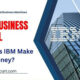 IBM Business Model