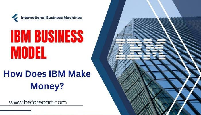 IBM Business Model