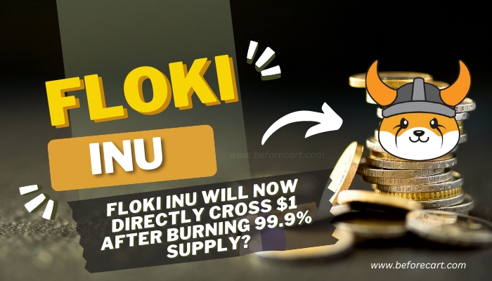 Floki INU Will Now Directly Cross $1 After Burning 99.9% Supply