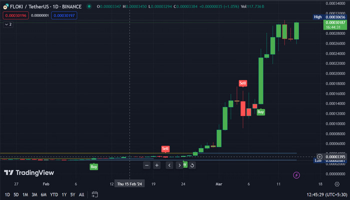 Floki Inu Price Chart